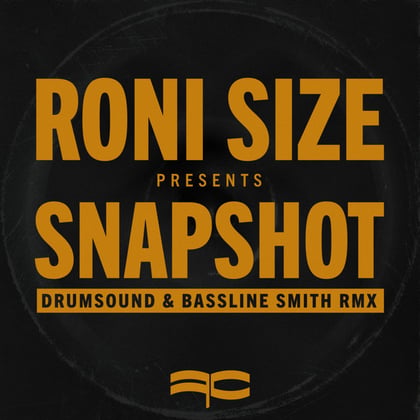 Snapshot (Drumsound & Bassline Smith Remix) album by Roni Size & Drumsound & Bassline Smith - Drum and Bass Cover Art