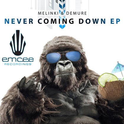 Never Coming Down album by Melinki - Drum and Bass Cover Art