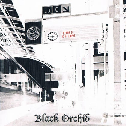 Times of Life album by Black Orchid - Drum and Bass Cover Art