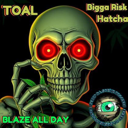 Blaze All Day EP album by Bigga risk, Toal & Hatcha - Drum and Bass Cover Art