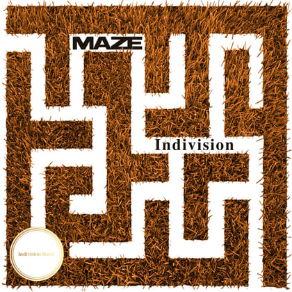 Maze album by Indivision - Drum and Bass Cover Art