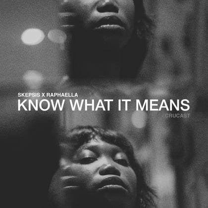 Know What It Means album by Skepsis - Drum and Bass Cover Art