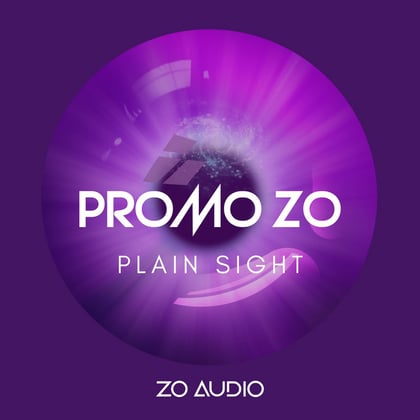 Plain Sight album by Promo Zo - Drum and Bass Cover Art