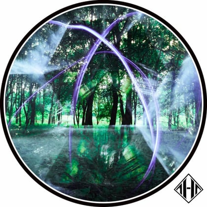 Forest Dweller album by Rawtrachs - Drum and Bass Cover Art