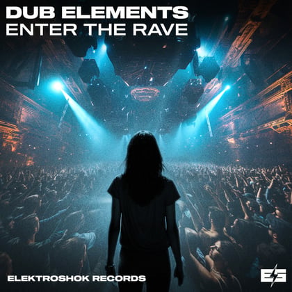Enter The Rave album by Dub Elements - Drum and Bass Cover Art