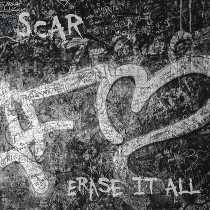 Erase It All album by Scar - Drum and Bass Cover Art