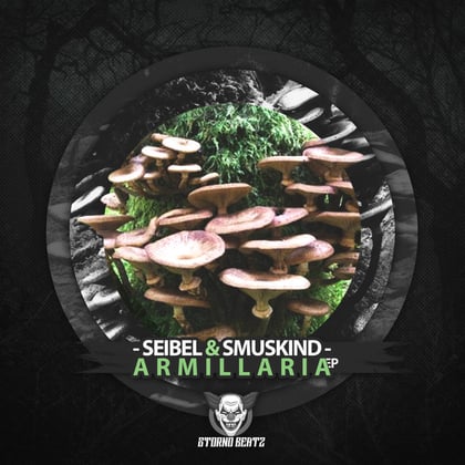 Armillaria album by Seibel & Smuskind - Drum and Bass Cover Art