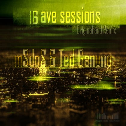16Th Ave Sessions album by MSDOS & Ted Ganung - Drum and Bass Cover Art