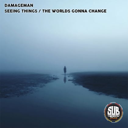 Seeing things / The worlds gonna change album by Damageman - Drum and Bass Cover Art