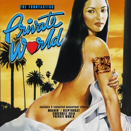 Private World EP album by The Funktastics - Drum and Bass Cover Art