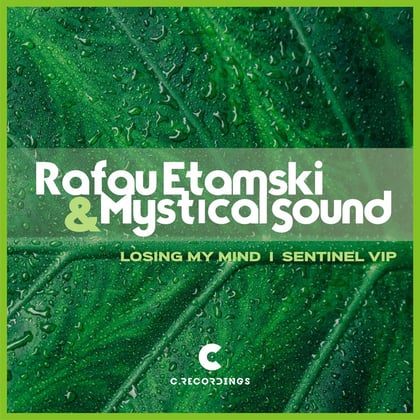 Losing My Mind / Sentinel Vip album by Mystical Sound - Drum and Bass Cover Art