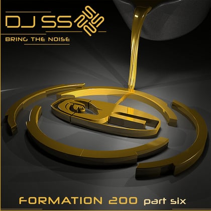 Bring the Noise album by DJ SS & Samurai Breaks - Drum and Bass Cover Art