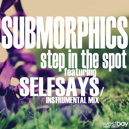 Step in the Spot album by Submorphics - Drum and Bass Cover Art