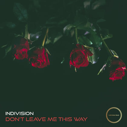 Don't Leave Me This Way album by Indivision - Drum and Bass Cover Art