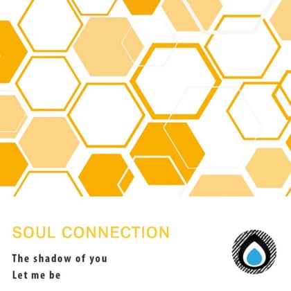 The shadow of you album by Soul Connection - Drum and Bass Cover Art