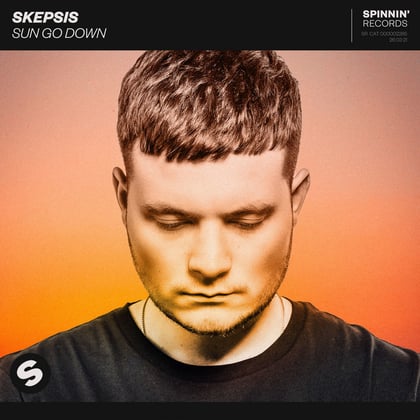 Sun Go Down album by Skepsis - Drum and Bass Cover Art