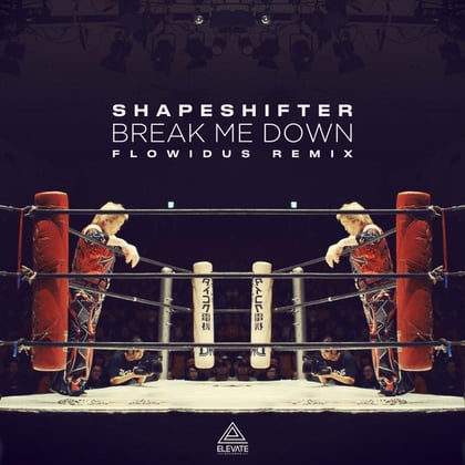 Break Me Down (Flowidus Remix) album by Shapeshifter & Terminus - Drum and Bass Cover Art