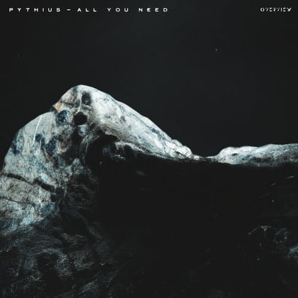 All You Need album by Pythius - Drum and Bass Cover Art