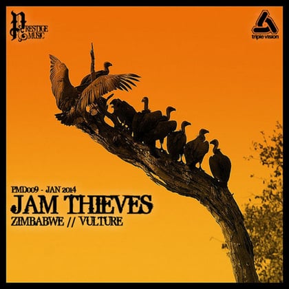 Zimbabwe / Vulture album by Jam Thieves - Drum and Bass Cover Art