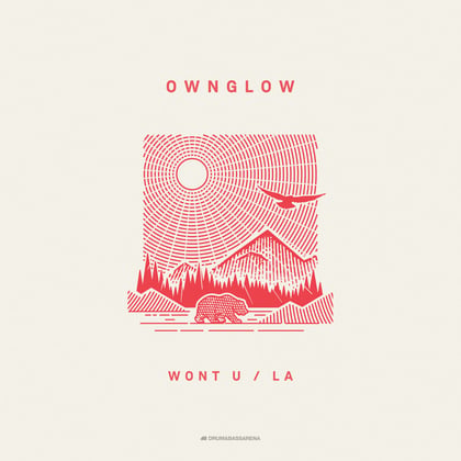 Won't U / LA album by Ownglow - Drum and Bass Cover Art