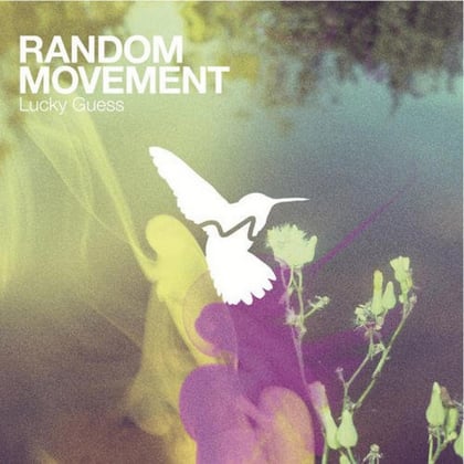 Lucky Guess album by Random Movement - Drum and Bass Cover Art