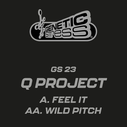 Feel It / Wild Pitch album by Q Project - Drum and Bass Cover Art