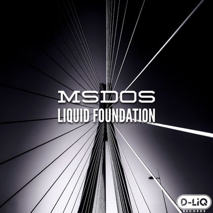 Liquid Foundation album by MSDOS - Drum and Bass Cover Art