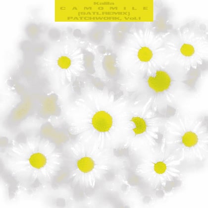Camomile (Satl Remix) album by Satl - Drum and Bass Cover Art