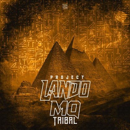 Tribal album by Project Lando - Drum and Bass Cover Art