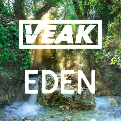 Eden album by Salaryman & Veak - Drum and Bass Cover Art
