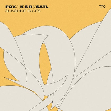 Sunshine Blues album by Fox & Satl - Drum and Bass Cover Art