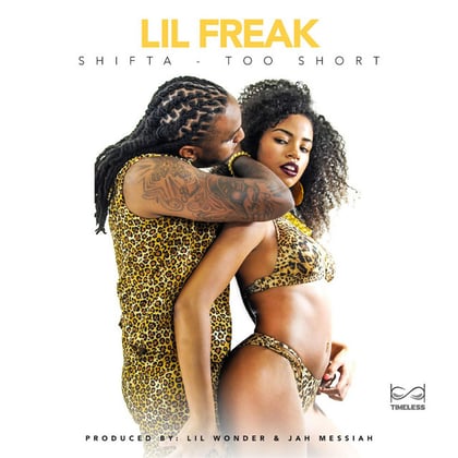 Lil freak album by Shifta - Drum and Bass Cover Art
