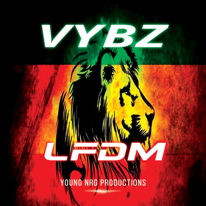 Vybz album by LFDM - Drum and Bass Cover Art