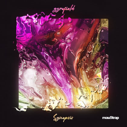 Synopsis album by gyrofield - Drum and Bass Cover Art