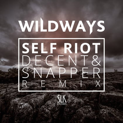 Self Riot (Decent & Snapper Remix) album by Despersion - Drum and Bass Cover Art