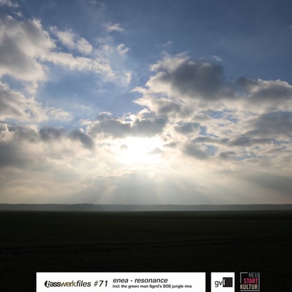 Basswerk Files #071 album by Enea - Drum and Bass Cover Art