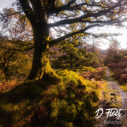 Petrichor album by D Flect - Drum and Bass Cover Art