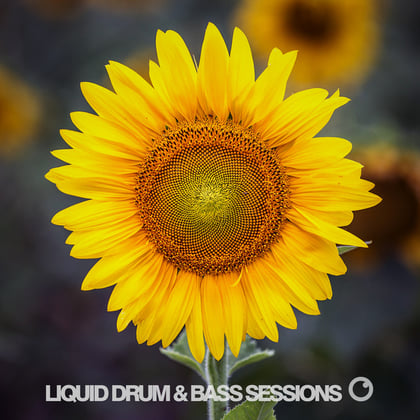 Liquid Drum & Bass Sessions 2020 Vol 7 album by Dreazz - Drum and Bass Cover Art