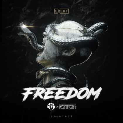 Freedom album by JTR & Netrek - Drum and Bass Cover Art