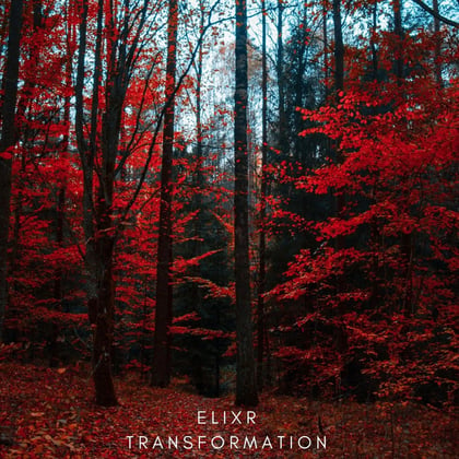 Transformation album by Elixr & Toddlah - Drum and Bass Cover Art