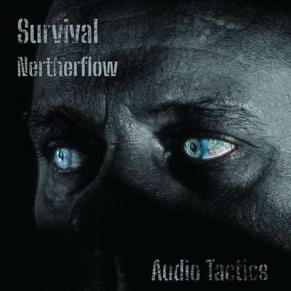 Netherflow album by Survival - Drum and Bass Cover Art