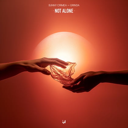 Not Alone album by Sunny Crimea - Drum and Bass Cover Art