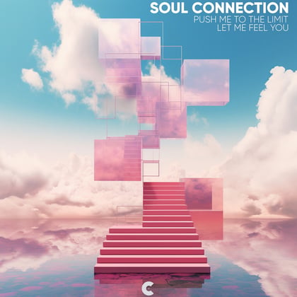 Push Me to the Limit / Let Me Feel You album by Soul Connection - Drum and Bass Cover Art
