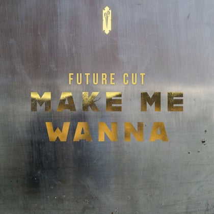 Make Me Wanna album by Future Cut - Drum and Bass Cover Art