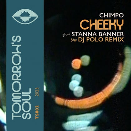 Cheeky album by Chimpo - Drum and Bass Cover Art