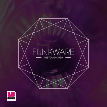 Are You Enough album by Funkware - Drum and Bass Cover Art