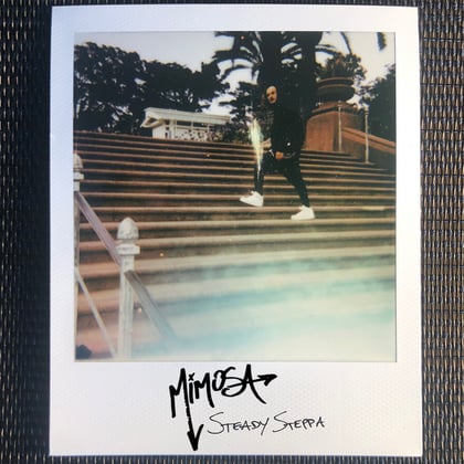 Steady Steppa album by MiM0SA - Drum and Bass Cover Art