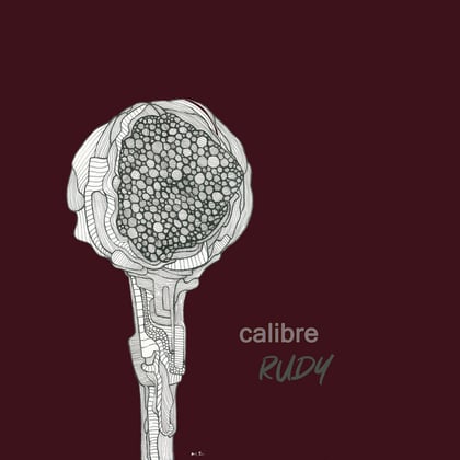 Rudy album by Calibre - Drum and Bass Cover Art