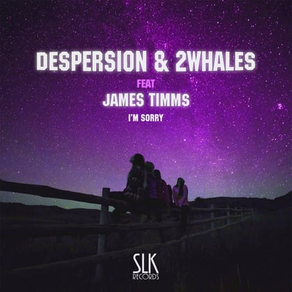 I'm Sorry album by Despersion - Drum and Bass Cover Art