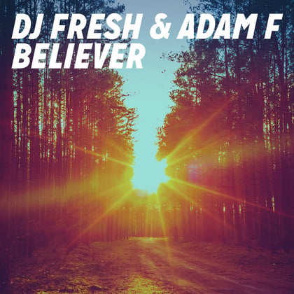 Believer (Remixes) album by DJ Fresh & Adam F - Drum and Bass Cover Art